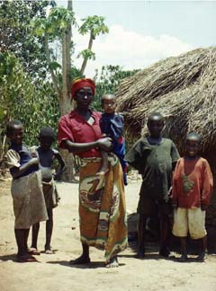 Household in Chivu (local community)